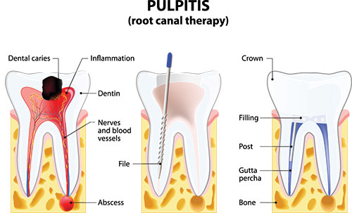 Cuddy Family Dentistry | Pediatric Dentistry, Cosmetic Dentistry and Dental Fillings
