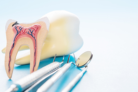 Cuddy Family Dentistry
